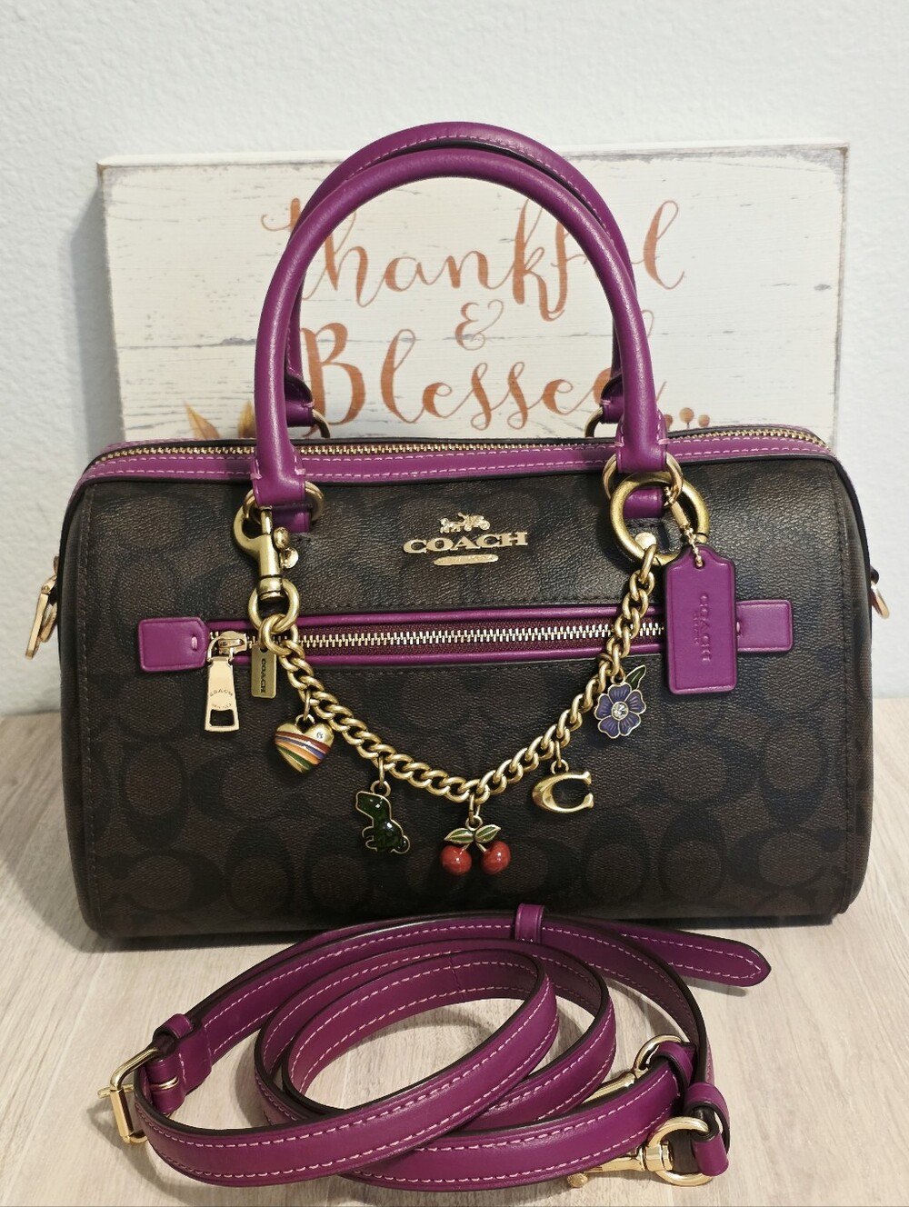 Coach RARE Rowan MEDIUM Crossbody Purse Bag Magenta Brown + Swagger Chain Charms